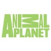 Animal Planet